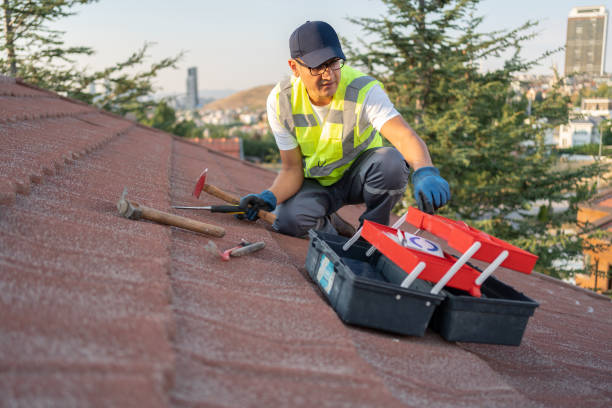 Best Property Management Cleanouts  in Apopka, FL